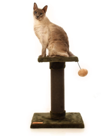 RASCADOR DESCANSO 47cm.