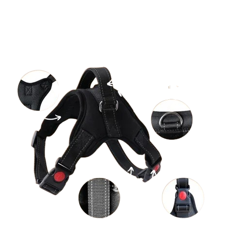 ARNES ACOLCHADO PET DOG XL (80-110 cm)