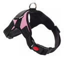 ARNES ACOLCHADO PET DOG M (65-80 cm.)