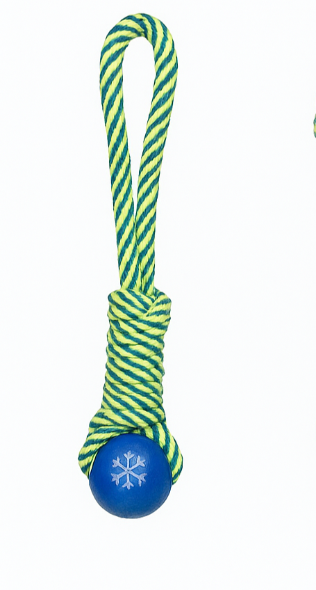 PELOTA TPR CON SOGA MANIJA (6166)